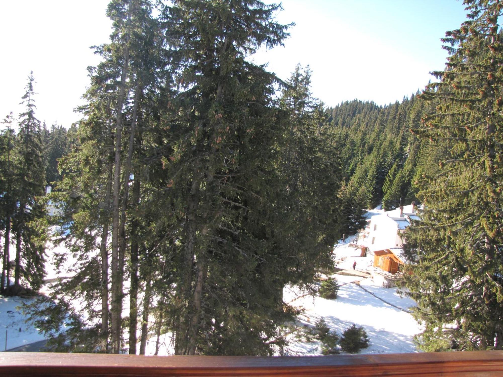 Aparthotel Pine Hills Pamporovo Exterior photo